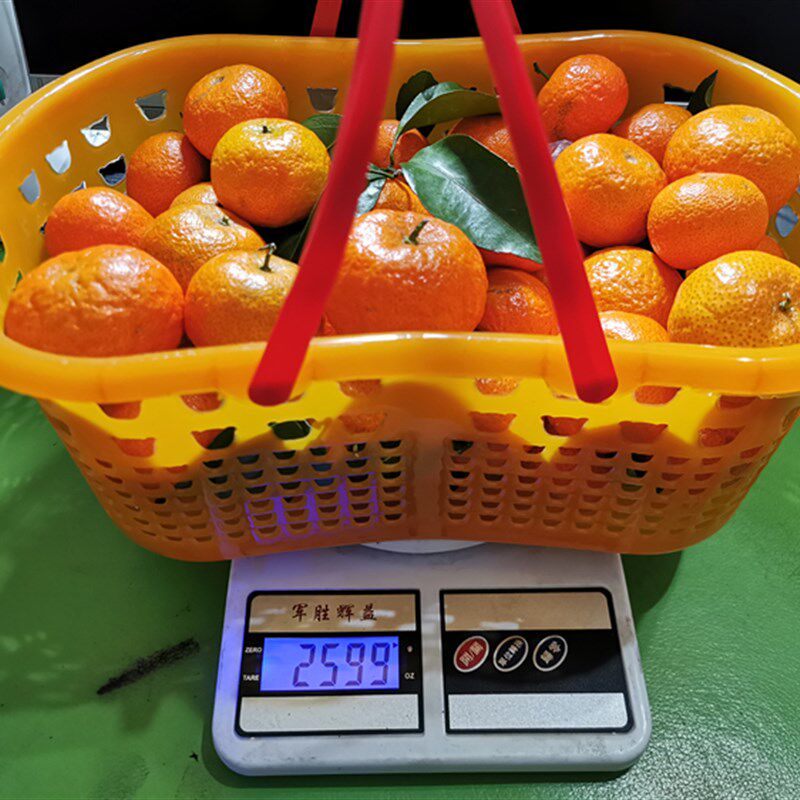 5斤装枇杷框桔子篮橘子龙眼框鸡蛋框桂圆篮塑料手提砂糖桔篮有盖