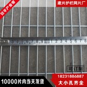 镀锌电焊钢丝网片子加粗焊接鸽舍鸟养殖网小长网格片