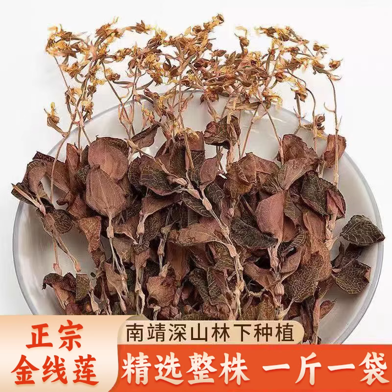 正宗金线莲官方旗舰整株开花干品500克1斤仿野生种植