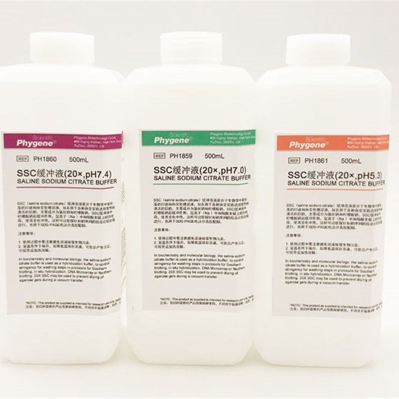 C缓冲液 (2) p. pH7. pH7.  无菌 PHYGENE