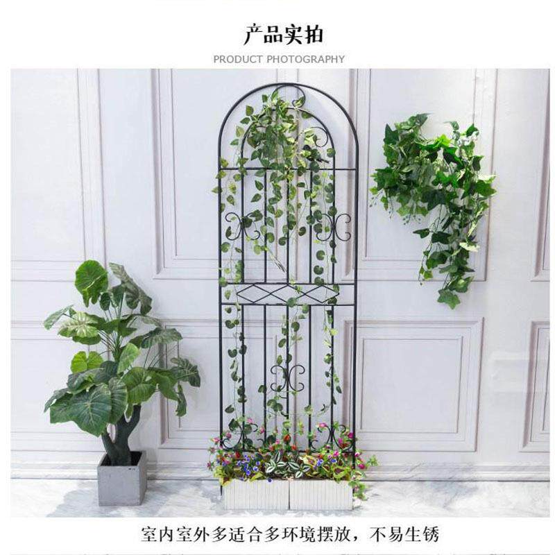 铁线莲月季植物拱门爬藤架户外庭院网支架杠铁艺小鸟花架铁艺花架
