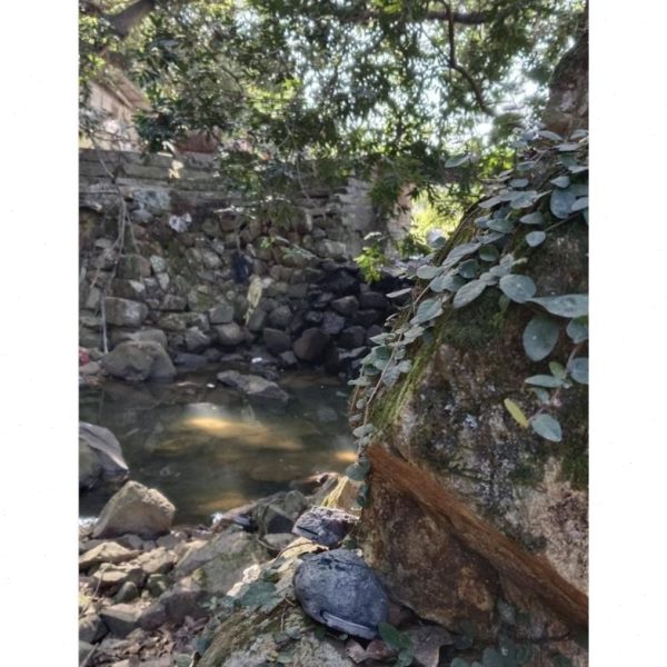 石头钥匙收纳盒创意门口摆件x玄关花盘茶几家居钥匙防丢器隐蔽收