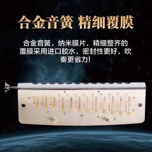 FIFN半音阶口琴星空w演奏飞繁孔调初学者学生入门