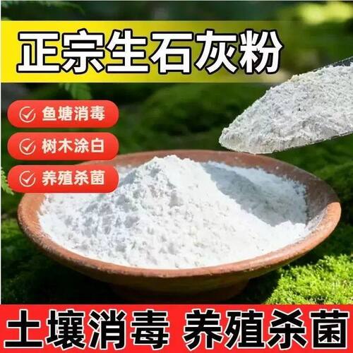 生石灰粉10斤干燥杀菌消毒除湿防