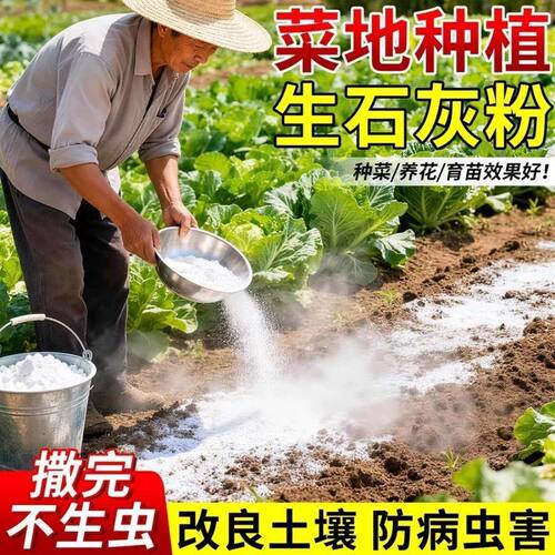 生石灰粉鸡圈猪圈养殖场消毒鱼塘