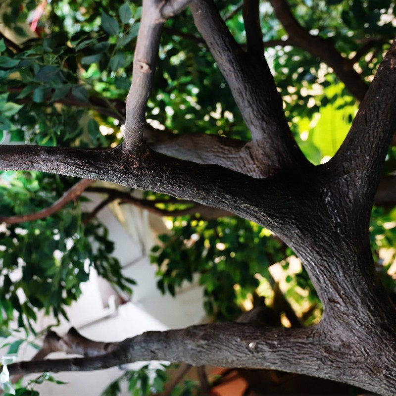 仿真树大型假树榕树绿植盆栽仿真植物庭院酒店大厅盆景假树装饰