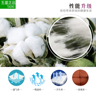 躺椅棉垫 厚 冬季靠椅摇椅沙滩椅午睡椅垫子靠垫沙发垫子椅垫坐垫