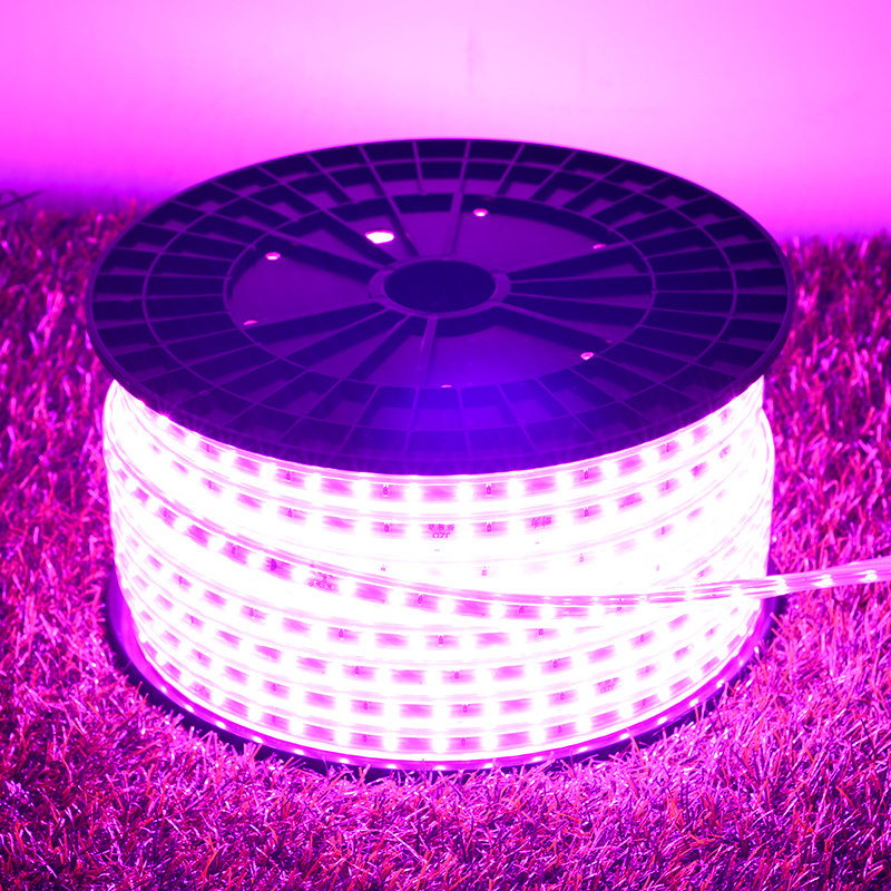 220v防水led灯带有背胶可粘贴客厅背景墙长条彩色氛围灯冰蓝灯条