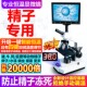 显微镜恒温加热精子检测畜牧养殖猪牛狗兔一体带显示屏实验