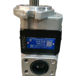 合肥赛源HYG2F.TL 油泵 合力堆高机齿轮泵没有人能拒绝