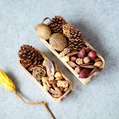 饰家居干果 天然干果装 装 饰干 摄影道具 创意装