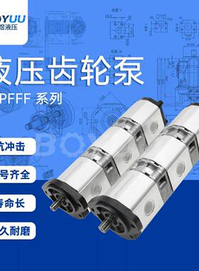 AZPFFF-11-011011004RCB202020MB齿轮泵用于农业机械厂家直销