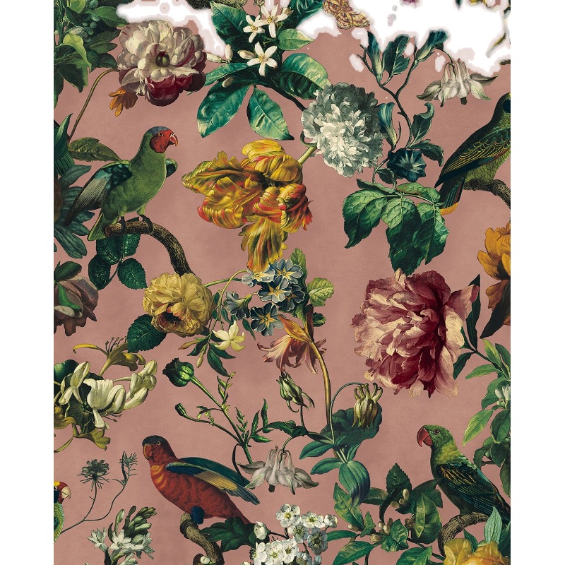 荷兰原装 高端花鸟壁纸 复古动物图案玄关背景墙纸