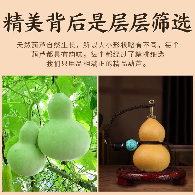 天然葫芦铜剑七星剑养剑葫芦手把件自然生长端正葫芦手拿文玩口,特色手工艺,葫芦,淘宝优惠券,粉丝福利购,淘宝优惠卷