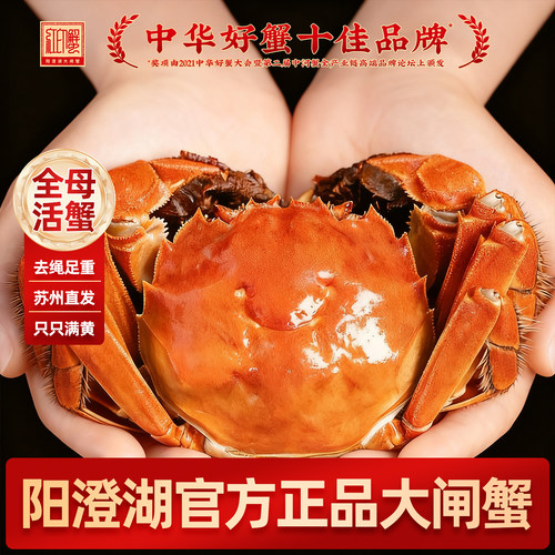 【官方正品】阳澄湖大闸蟹红印蟹