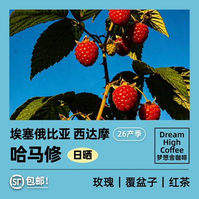 梦想舍新产季哈马修日晒咖啡豆