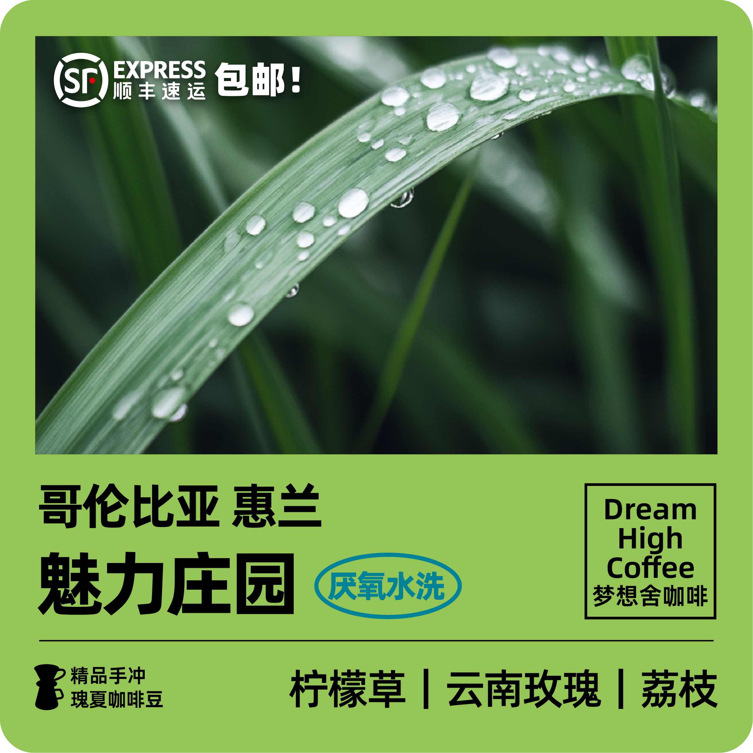 厌氧水洗魅力庄园瑰夏手冲咖啡豆