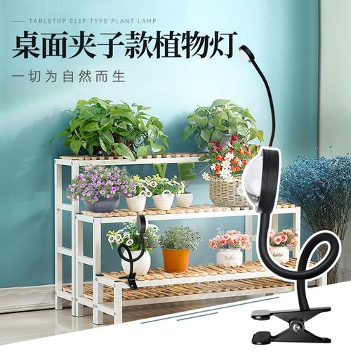 仿太阳苔藓微景观缸补光灯 卉多肉全光谱生长灯