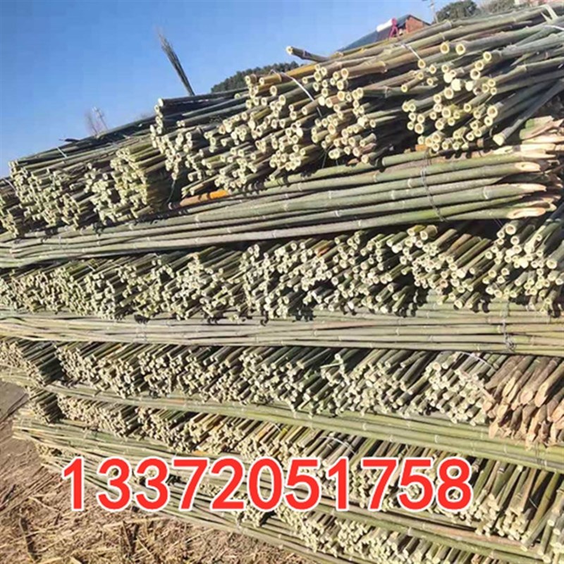 竹竿菜园搭架蔬菜黄瓜番茄豆角架杆竹篱笆栅栏小竹子细竹竿爬藤架