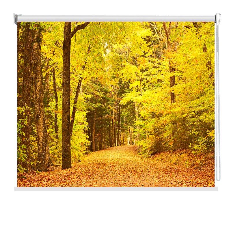 定制卷帘秋季落叶秋天红枫树林风景办公室客厅卫生间遮光升降窗帘