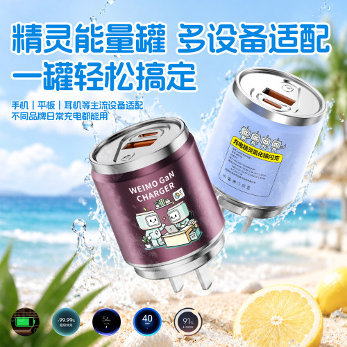 诺胜者全协议双口易拉罐充电器