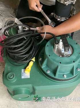 戴博水泵 污水提升泵 鹅卵石 DELS 70/1000 WMS 别墅地下室排污泵