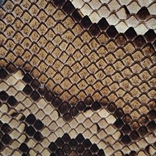 二胡皮高胡中胡皮坠琴三弦琴皮热瓦普 扎木念蒙皮二胡蟒皮