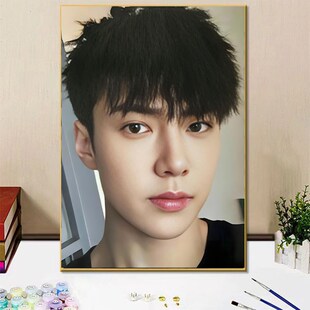 EO男团成员吴世勋diy数字油画手绘填色画涂鸦画房间卧室装 饰挂画