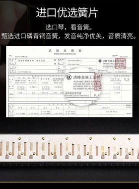 奇美黑霸王演奏级2孔复音BEFG##DbB#C#F调 铜盖板口琴