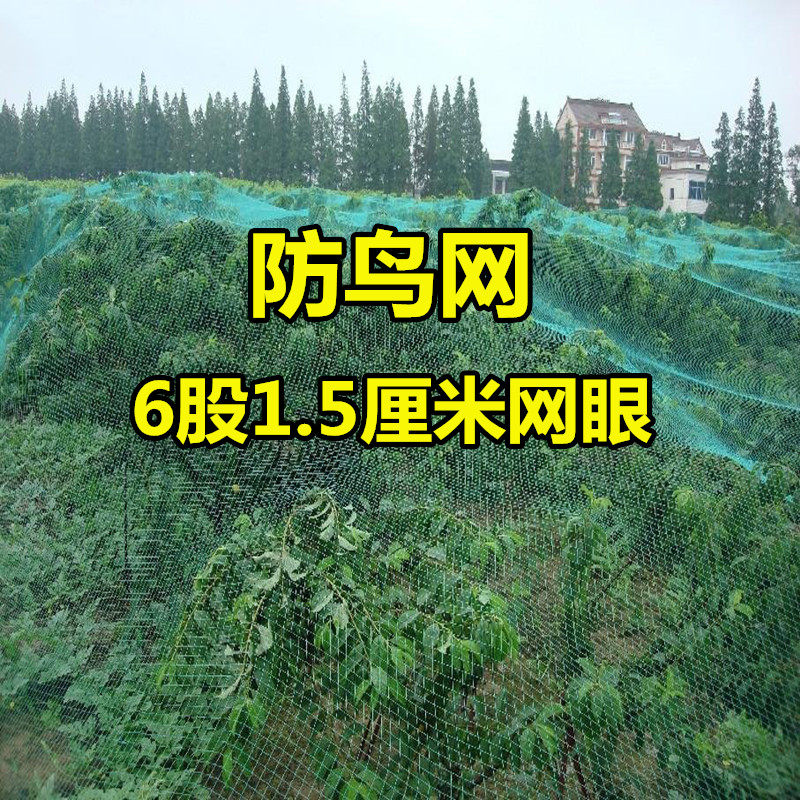 防鸟网果园防鸟育雏网小拦鸡网围菜园防逃网挡鸟网养鸡围栏网
