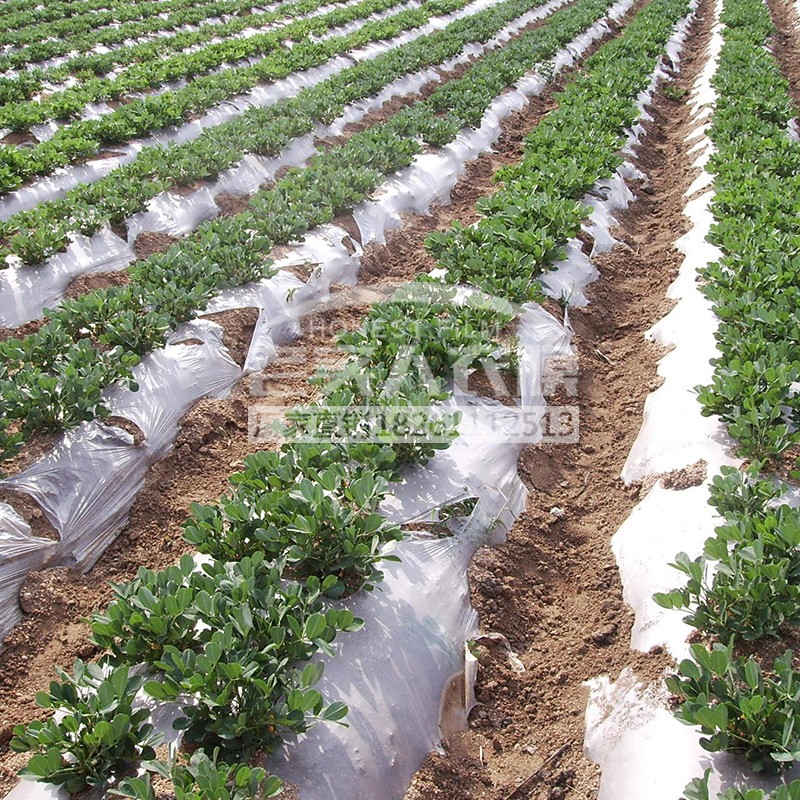 塑料薄膜银灰地膜 色地膜黑白色地膜除草地膜反光地膜工程地膜