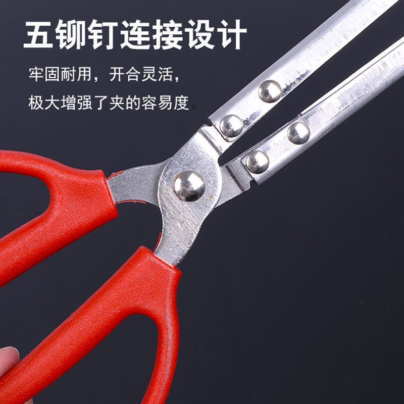 赶海螃蟹夹带齿防滑脱野外长柄免弯腰控鱼钳抓捕泥鳅海鲜黄鳝夹子