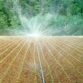 农用灌溉滴水管微喷水带滴灌带大棚雾化软水管接头一应俱全旁通