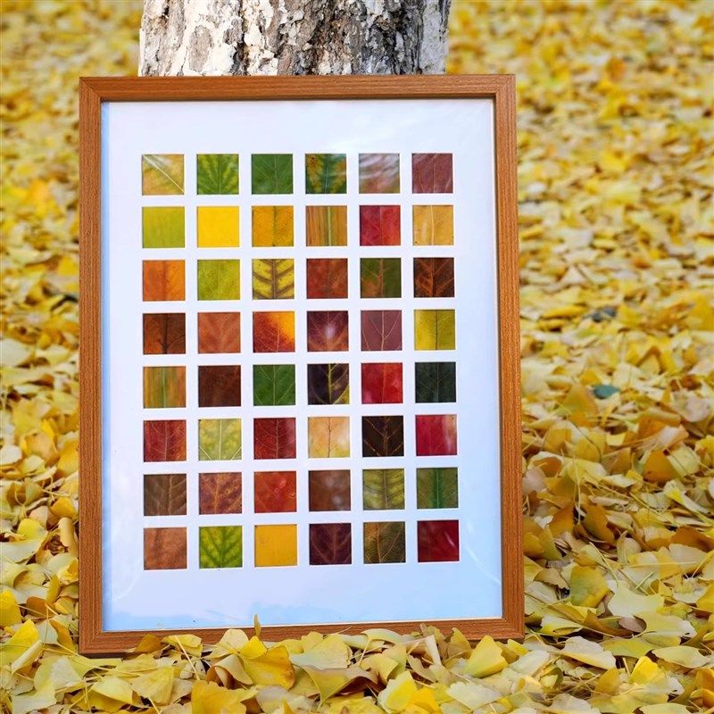落叶相框宫格实木画框DI手工制作格子画框收集秋天九宫格子,家居饰品,相框/画框,淘宝优惠券,粉丝福利购,淘宝优惠卷