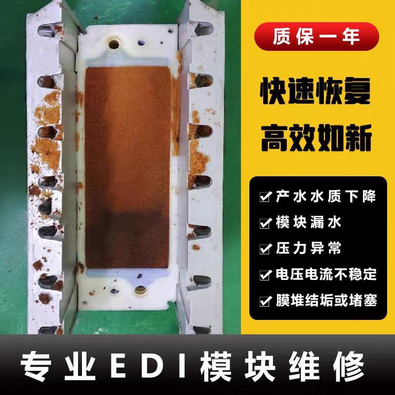Techpure特纯MK-TC50EDI模块维修清洗国产进口纯水EDI膜堆维修
