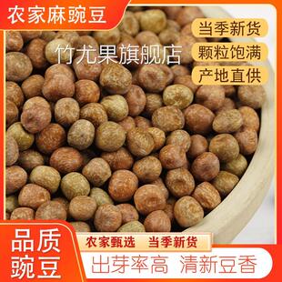 麻豌豆5斤生干豌豆灰豆子可发豌豆芽苗菜灰豆汤炒豆原料甘肃特产
