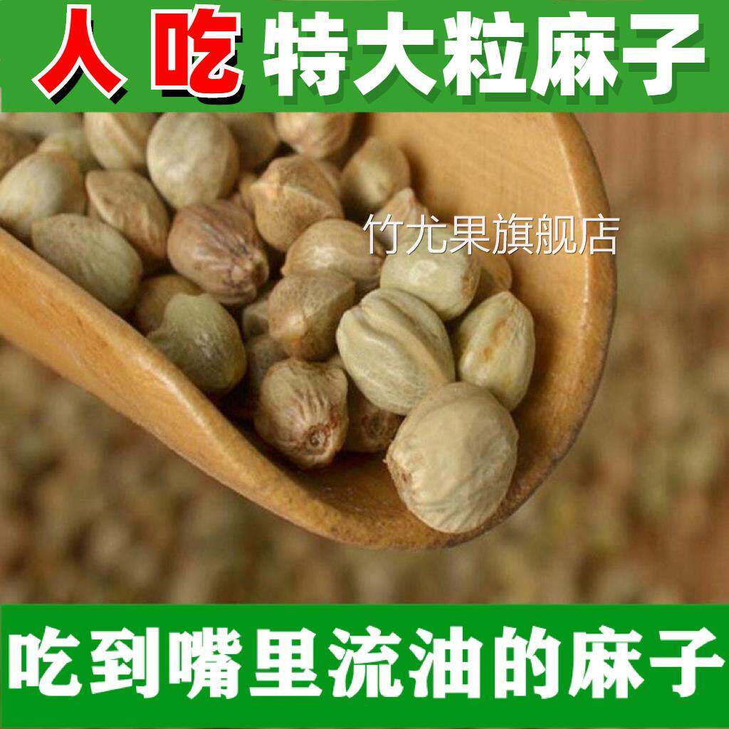 麻子大粒人吃新货火麻子 炒熟五香生麻子籽食用