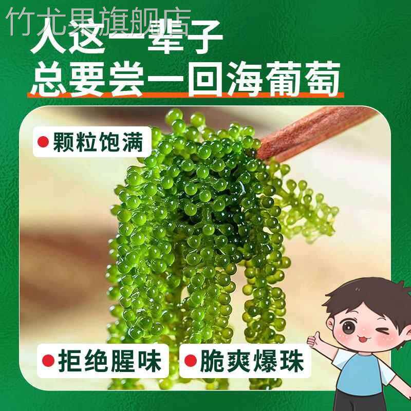 儿童海葡萄即食绿色鱼子酱小孩吃的健康零食新鲜盐渍开胃菜旗舰店