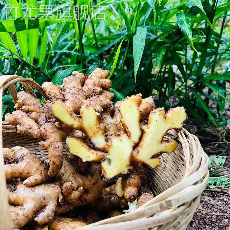 贵州农家特产小黄姜新鲜生姜老姜月子姜嫩子土姜沙鲜仔姜汁多