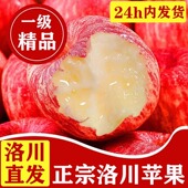 包邮 正宗陕西洛川苹果红富士10斤新鲜当季 孕妇水果时令脆甜一级果