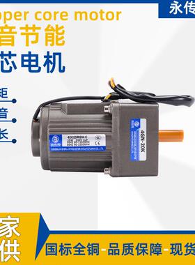 永传4I25RGN-C调速电机25W硬齿轮微型直流220V可调变速电机马达