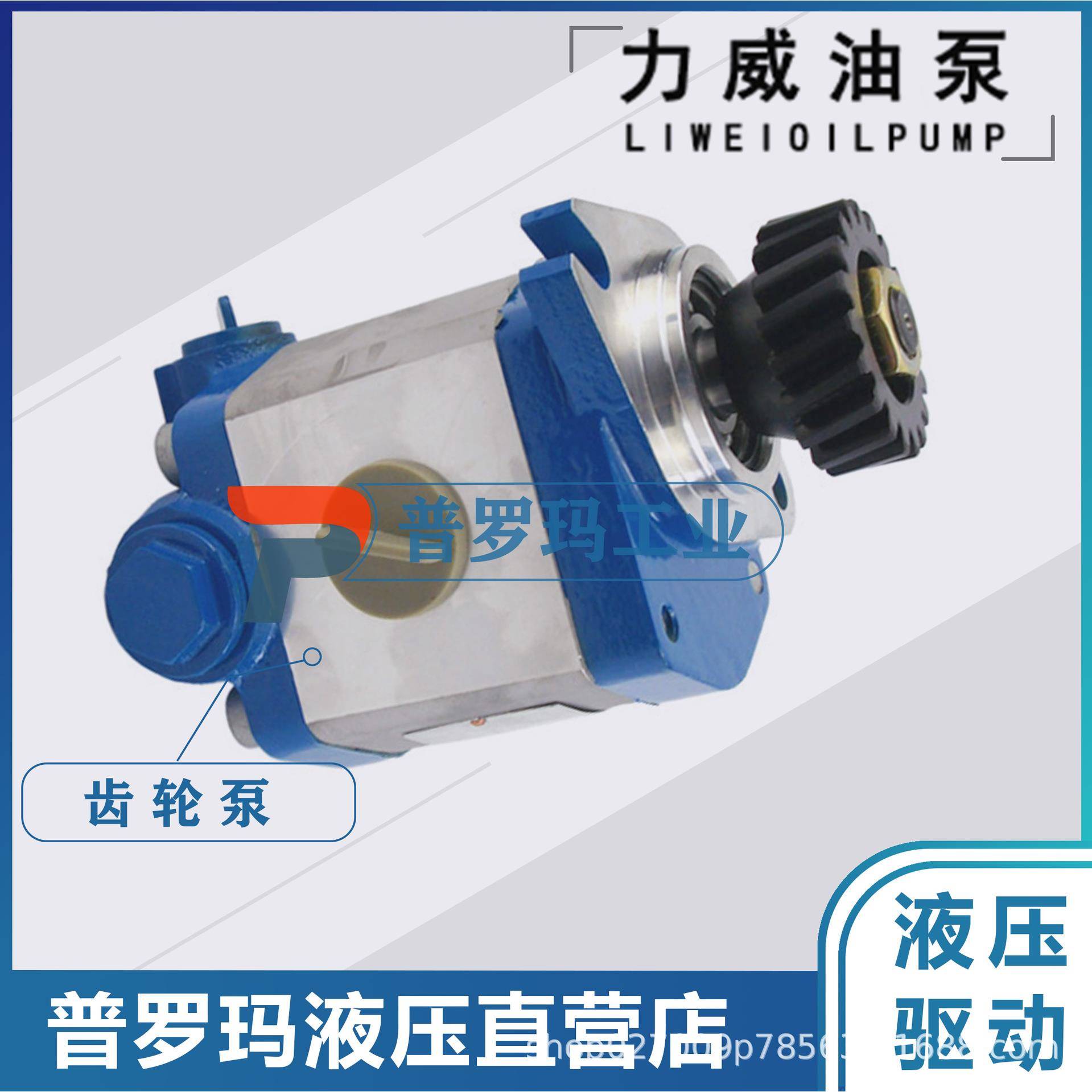 合肥力威QC10/20-WP6汽车油泵转向泵合肥天力威方向动力泵
