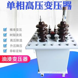 变压器10KV变220V远距离送电高压变压器10000V变0.22kv 单相油浸式