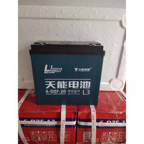 天能6-DZM-20电池12V20AH电动自行车三轮车电瓶6-DZF-20一块单只
