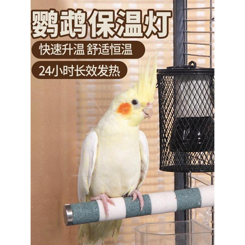 鹦鹉秋冬加热灯鹦鹉取暖器冬季保暖陶瓷灯恒温鹦鹉保温灯过冬神器