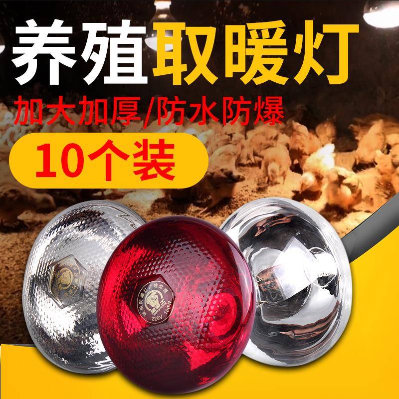 猪博士保温灯养殖场专用育雏保温灯保暖小猪仔猪取暖专用灯泡烤灯