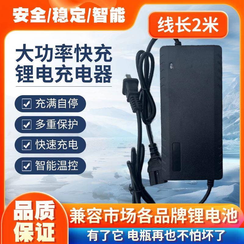 锂电池电动车充电器48V3A.48V2A平衡车锂离子哈雷滑板车