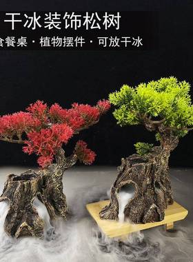 酒店创意摆盘装饰干冰杯小壶干冰盅盘饰花草日料餐饮冷菜点缀摆件