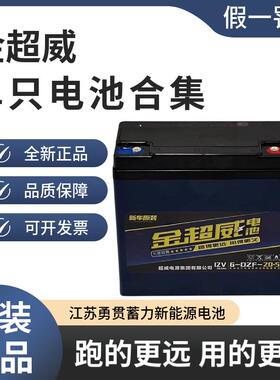 金超威单只12V20a24a32a35a45a52a58a电动车照明音响轮椅铅酸电池