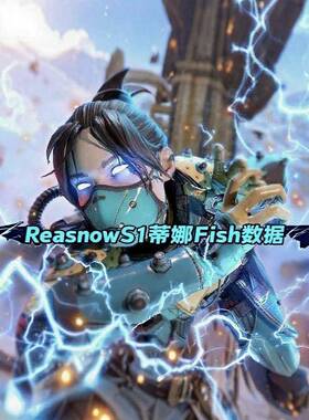 Reasnow S1蒂娜转换器数据PS/PC/XBOX/NS通用无风险辅助
